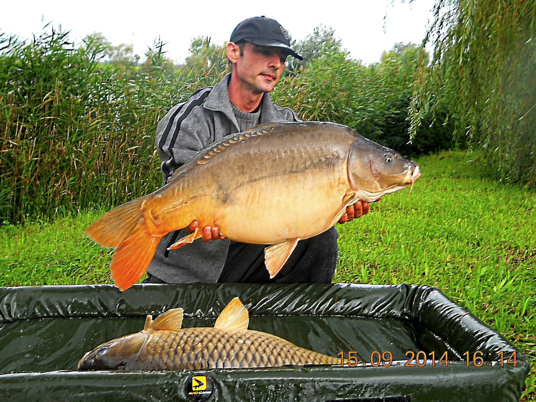 Palici Sep.2014 - img6071d.JPG